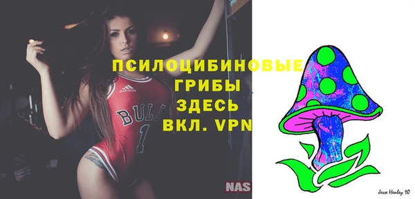 ешки Богородицк