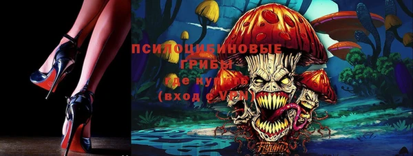 молекула духа Богородск