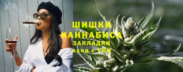 молекула духа Богородск