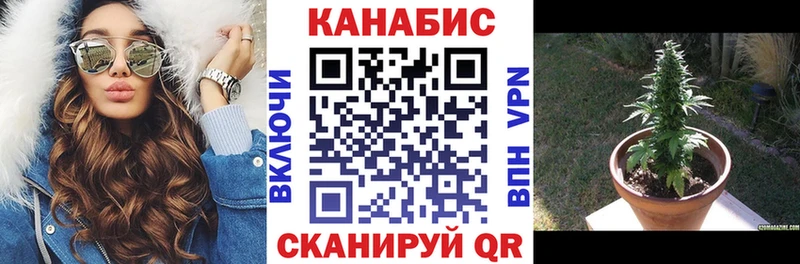 купить   Кореновск  Марихуана марихуана 